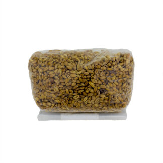 1LB Rye Grain Bag with 0_2 micron filter patch Rolled bag- Gorilla Mushrooms™ Premium Mushroom Grow Kits & Supplies